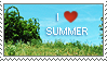I love summer