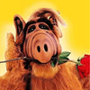 ALF